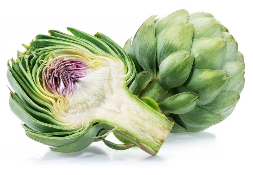 Die Artischocke / Cynara scolymus L. - Kamillen-Apotheke