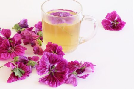 Pflanzliche Schleimstoffe